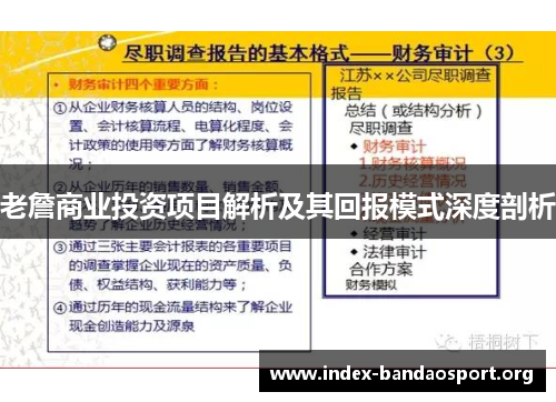 老詹商业投资项目解析及其回报模式深度剖析