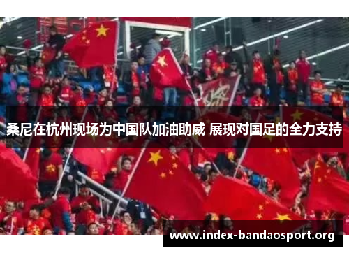 桑尼在杭州现场为中国队加油助威 展现对国足的全力支持 桑尼在杭州现场为中国队加油助威 展现对国足的全力支持