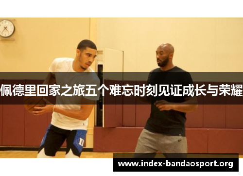 佩德里回家之旅五个难忘时刻见证成长与荣耀 佩德里回家之旅五个难忘时刻见证成长与荣耀