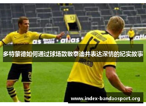 多特蒙德如何通过球场致敬泰迪并表达深情的纪实故事 多特蒙德如何通过球场致敬泰迪并表达深情的纪实故事