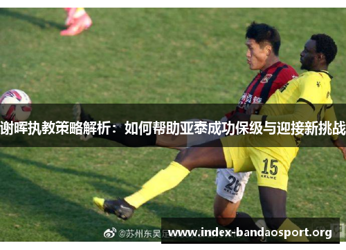 谢晖执教策略解析：如何帮助亚泰成功保级与迎接新挑战
