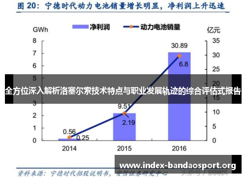 全方位深入解析洛塞尔索技术特点与职业发展轨迹的综合评估式报告